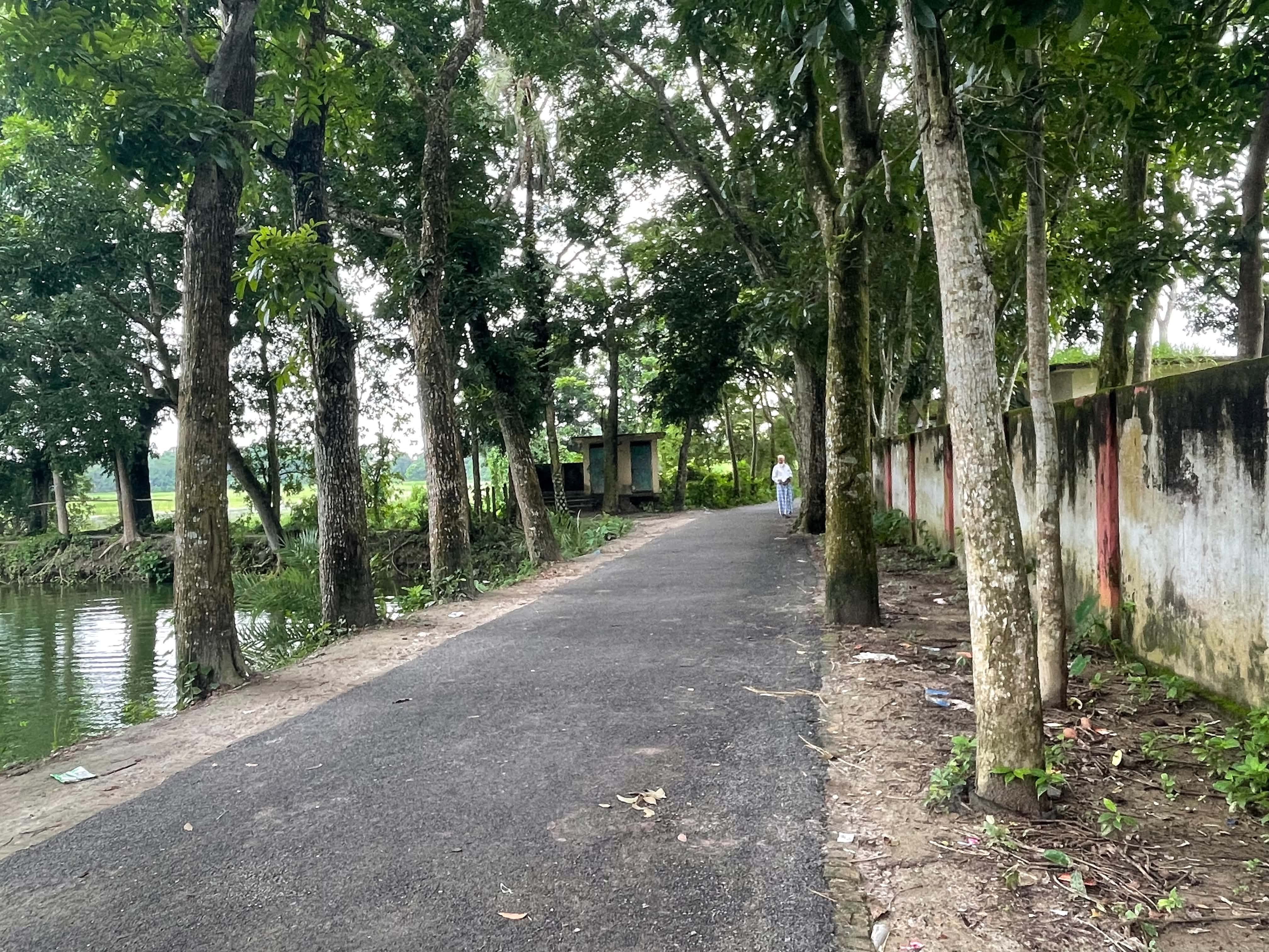 স্কুলের পাশের রাস্তা